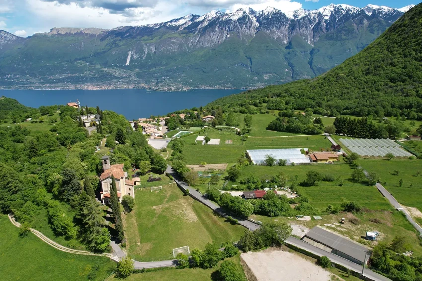 Luftaufnahme von Dorf und Feldern, Lago di Garda und schneebedeckte Alpen im Hintergrund.